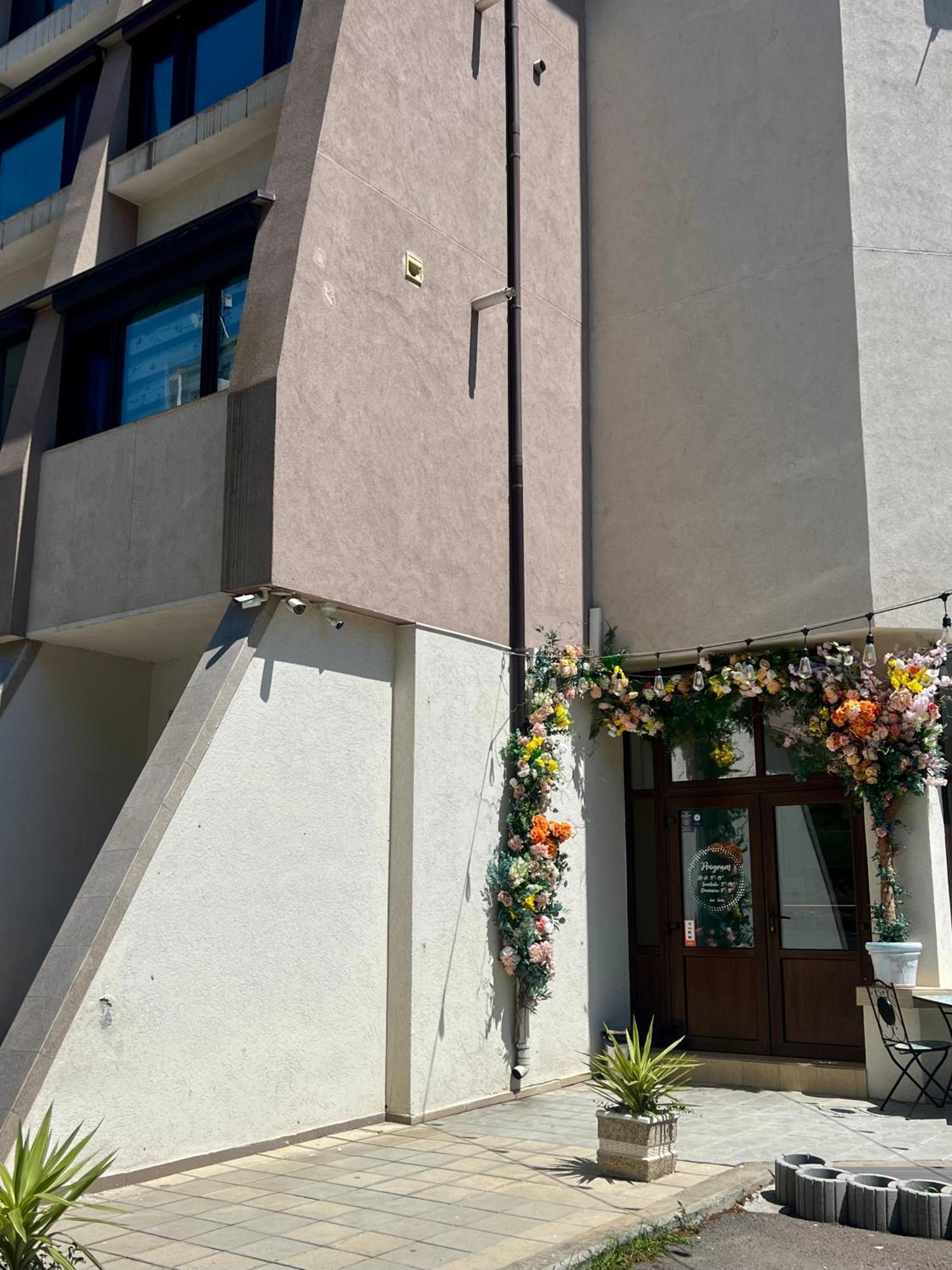 Ale'S Place 11 康斯坦察 外观 照片